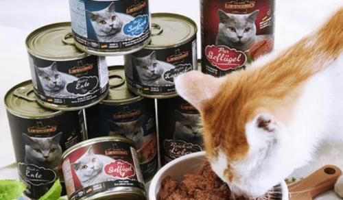 猫咪的罐头食品（以罐头为主的宠物饮食选择）