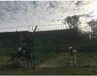 宠物寄养要选择安全，干净的寄养中心，熊饼之家，全新打造