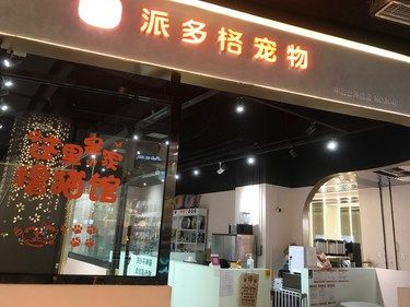 撸猫的