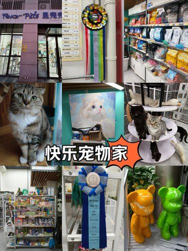 快乐宠物家
