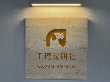宠物洗澡
