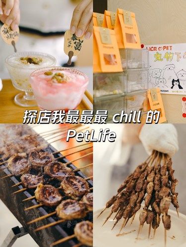 周末好去处：宠物生活美食赏味会✨