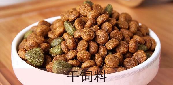 猫吃什么最好？