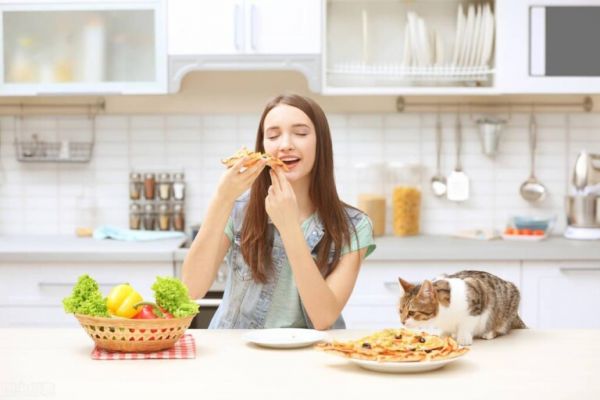 猫补充微量元素吃什么?给猫咪补充营养的方法