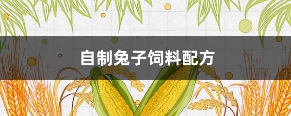 自制兔子饲料配方