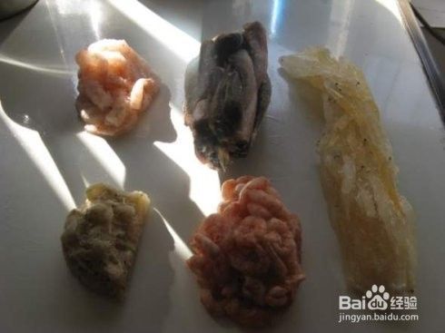 龟饲料的制作
