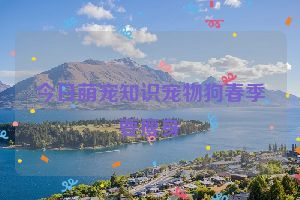 今日萌宠知识宠物狗春季要瘦身