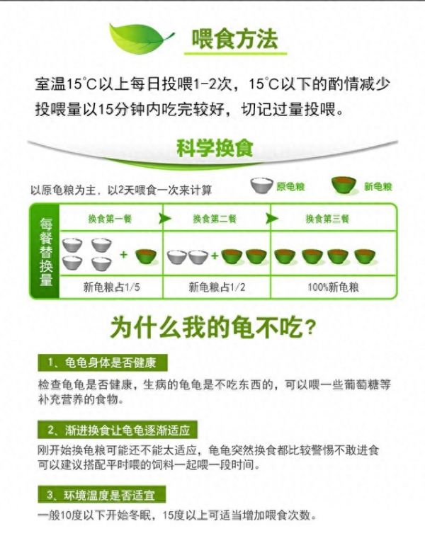 龟粮的正确喂食方法,附龟粮选购要点与误区