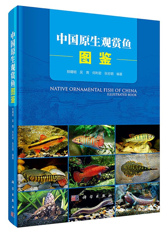 图书封面