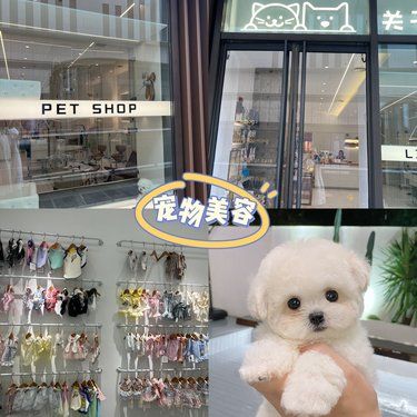 带我家狗狗来宠物店洗澡啦！