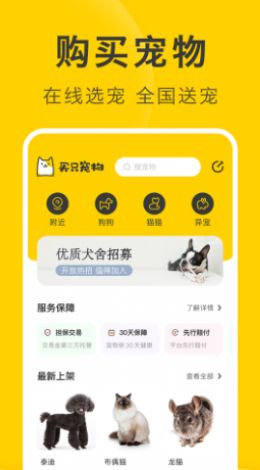 买只宠物官方版
