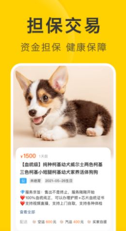 买只宠物官方版