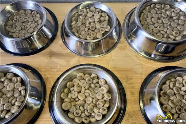 有人有柴犬的健康食谱吗？