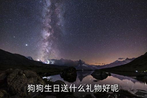 狗狗生日送什么礼物好呢