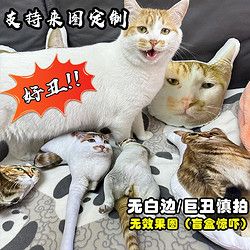 抱枕diy定制异形丑猫咪狗宠物午睡长条靠垫枕头玩偶公仔印 无白边