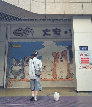 和毛小孩的快乐时光