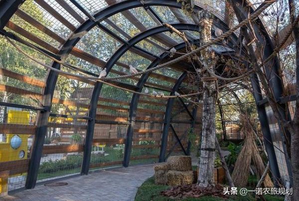 萌宠乐园大鸟笼设计，创造与自然共融的鸟类天堂