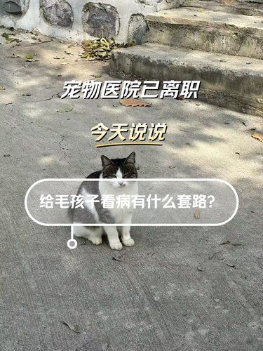 宠物医院已离职…毛孩子看病套路多多