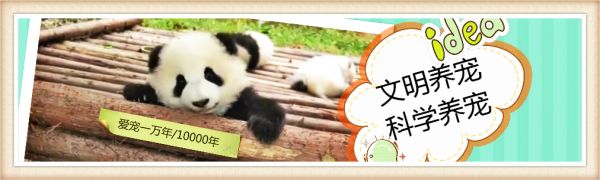 仓鼠界有个“三冠王”：寿命最长、体型最小、跑得最快