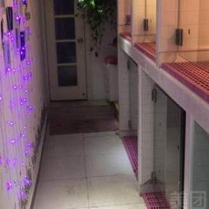 小犬笼具寄养一日（狗粮自带 送营养配餐）