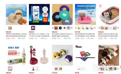 新手养猫需要注意的问题