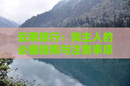云南旅行：狗主人的必备指南与注意事项