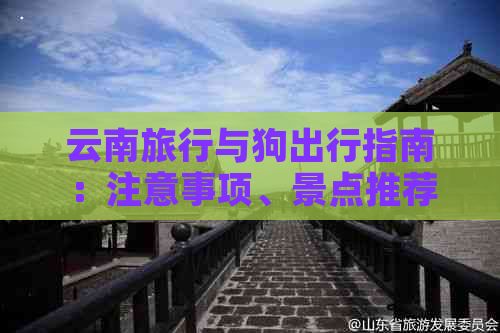 云南旅行与狗出行指南：注意事项、景点推荐及相关设施