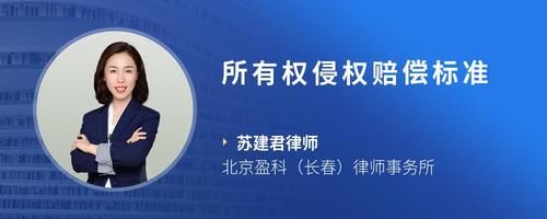 所有权侵权赔偿标准
