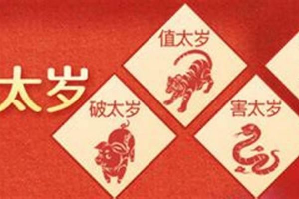 属鼠该吃什么