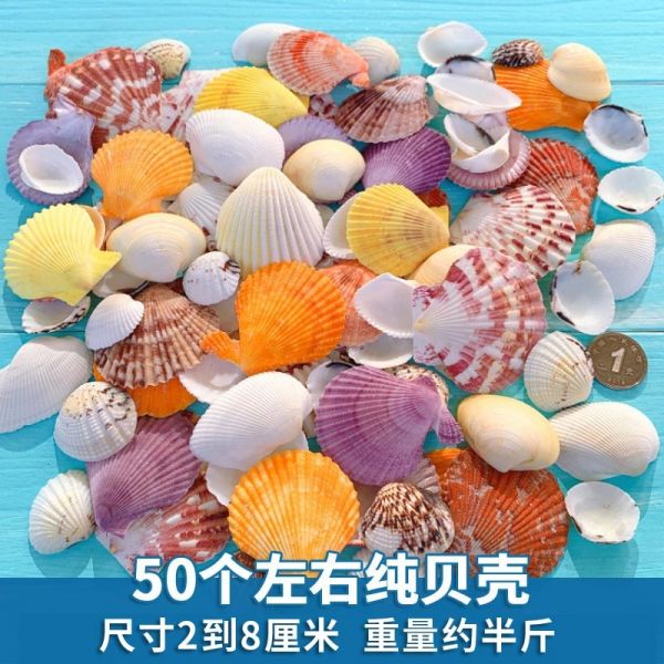 米妮天然贝壳海螺鱼缸造景装饰小摆件水族箱布景套装龟缸底砂装饰 默认 天然贝壳半斤装