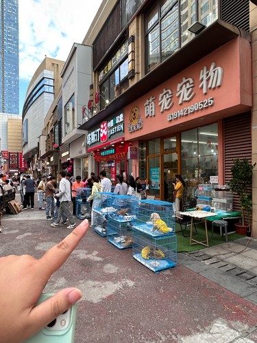 在赣州 谁能解释一下这是什么现象！！