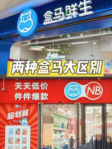 进错店后悔❓两种盒马区别大揭秘❗