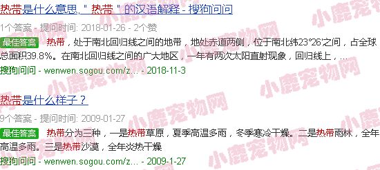 热带鱼图片 混养