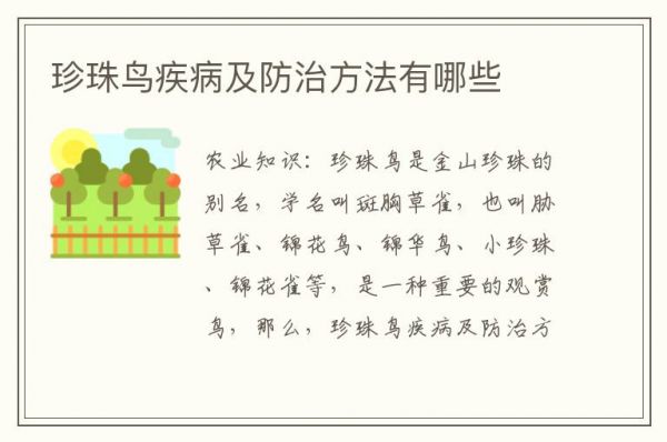 珍珠鸟疾病及防治方法有哪些