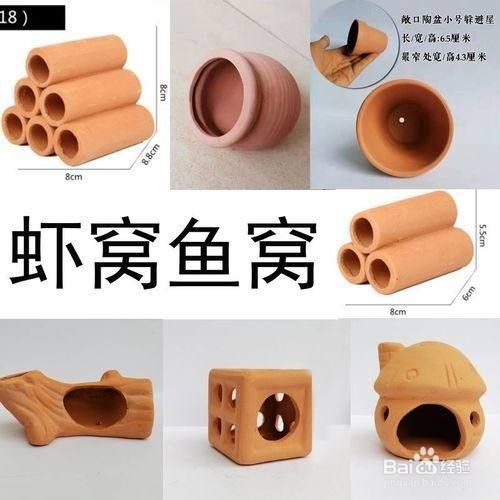 宝莲灯鱼繁殖教程