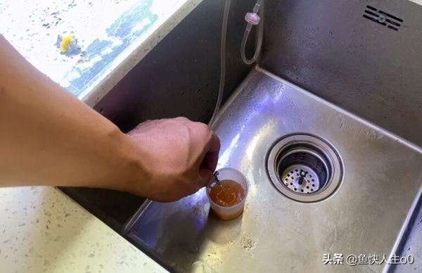 如何自己动手孵化丰年虾，如何收虾及保存，让小鱼吃得新鲜、健康