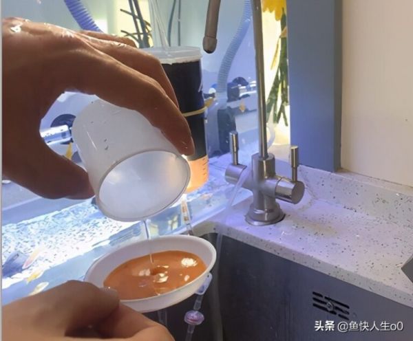 如何自己动手孵化丰年虾，如何收虾及保存，让小鱼吃得新鲜、健康