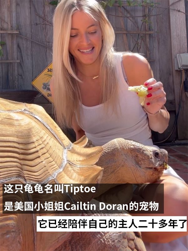 责任编辑:落木