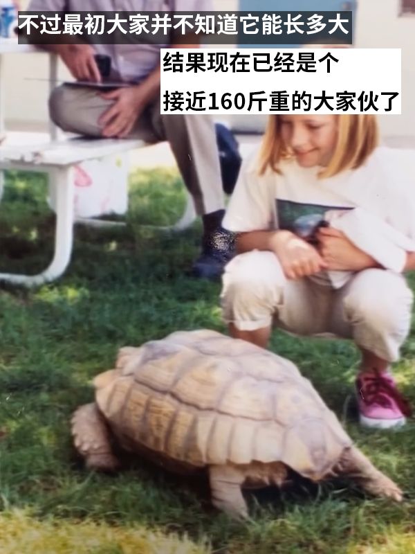 责任编辑:落木