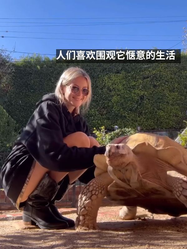 责任编辑:落木