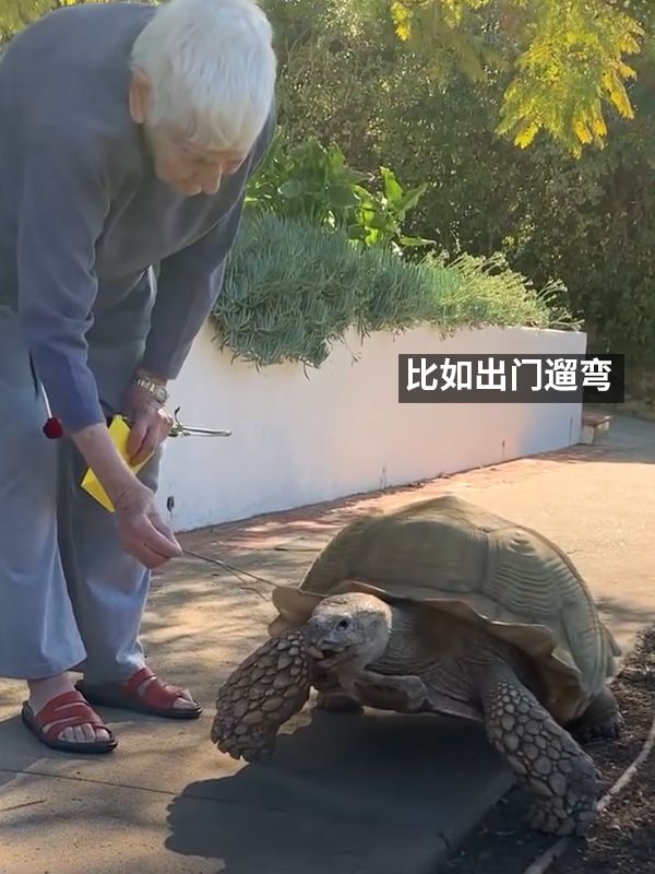 责任编辑:落木
