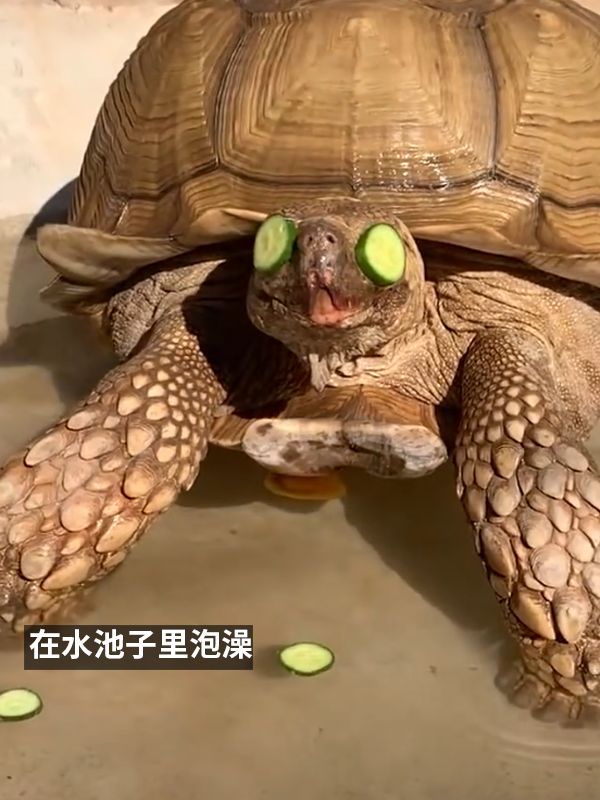 责任编辑:落木