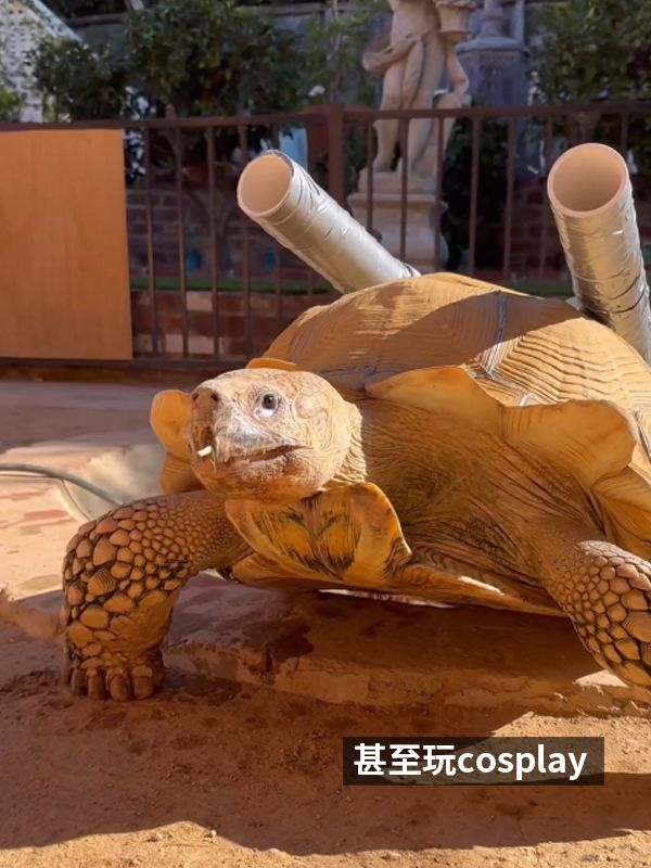 责任编辑:落木