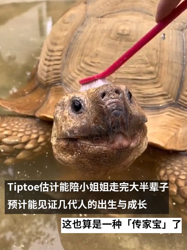 责任编辑:落木