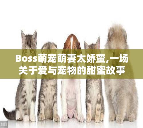 Boss萌宠萌妻太娇蛮,一场关于爱与宠物的甜蜜故事