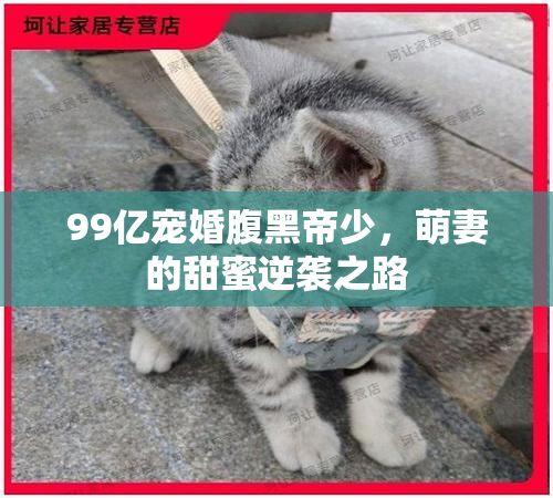99亿宠婚腹黑帝少，萌妻的甜蜜逆袭之路