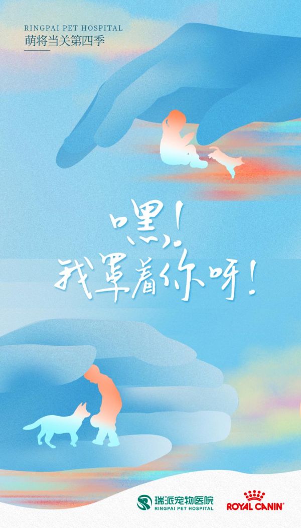 首播迎收视热潮，瑞派&皇家联合自制宠物医院纪录片《萌将当关》第四季B站正式上线