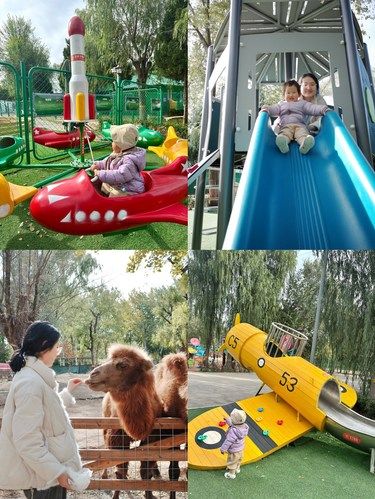 北京市内，1岁宝宝的户外萌宠乐园➕无动力乐园