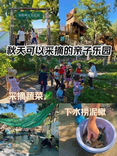 秋天可以采摘的亲子乐园