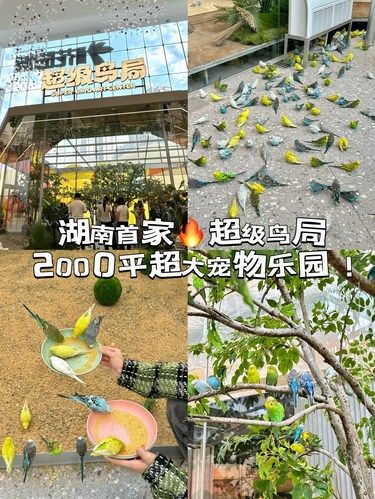 湖南首家2000平超大宠物乐园！！